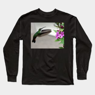 Hummingbird Long Sleeve T-Shirt